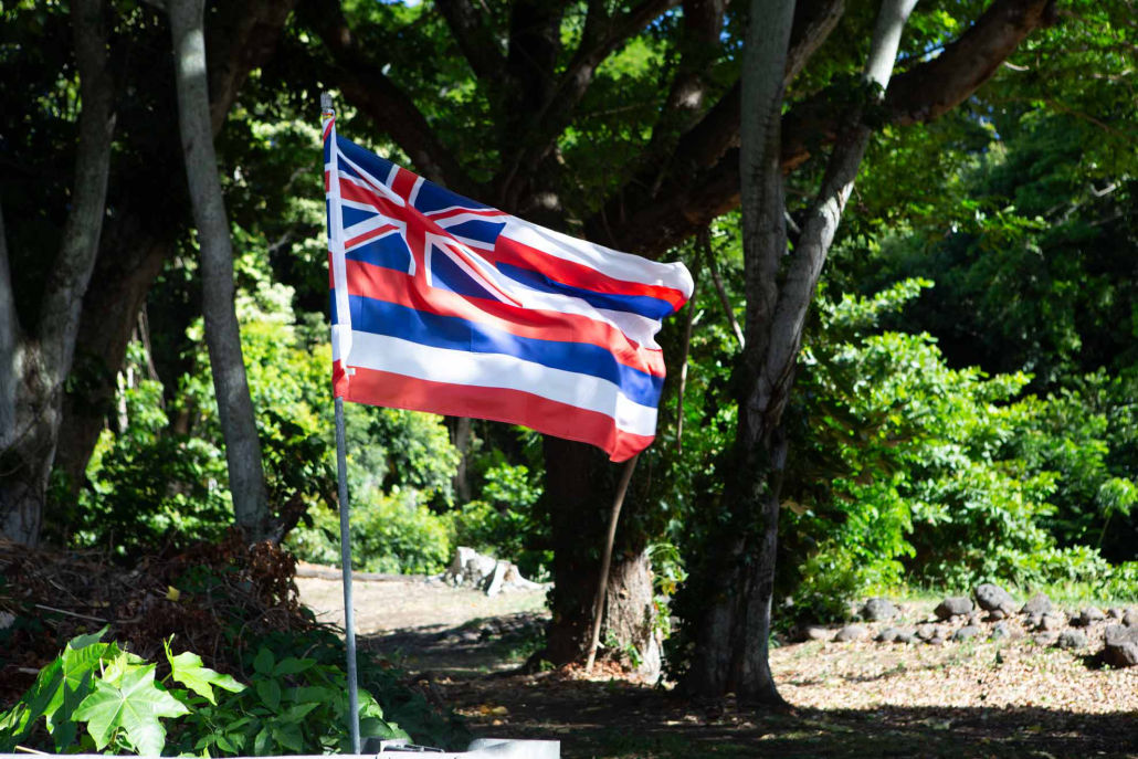 Hawaii State Flag