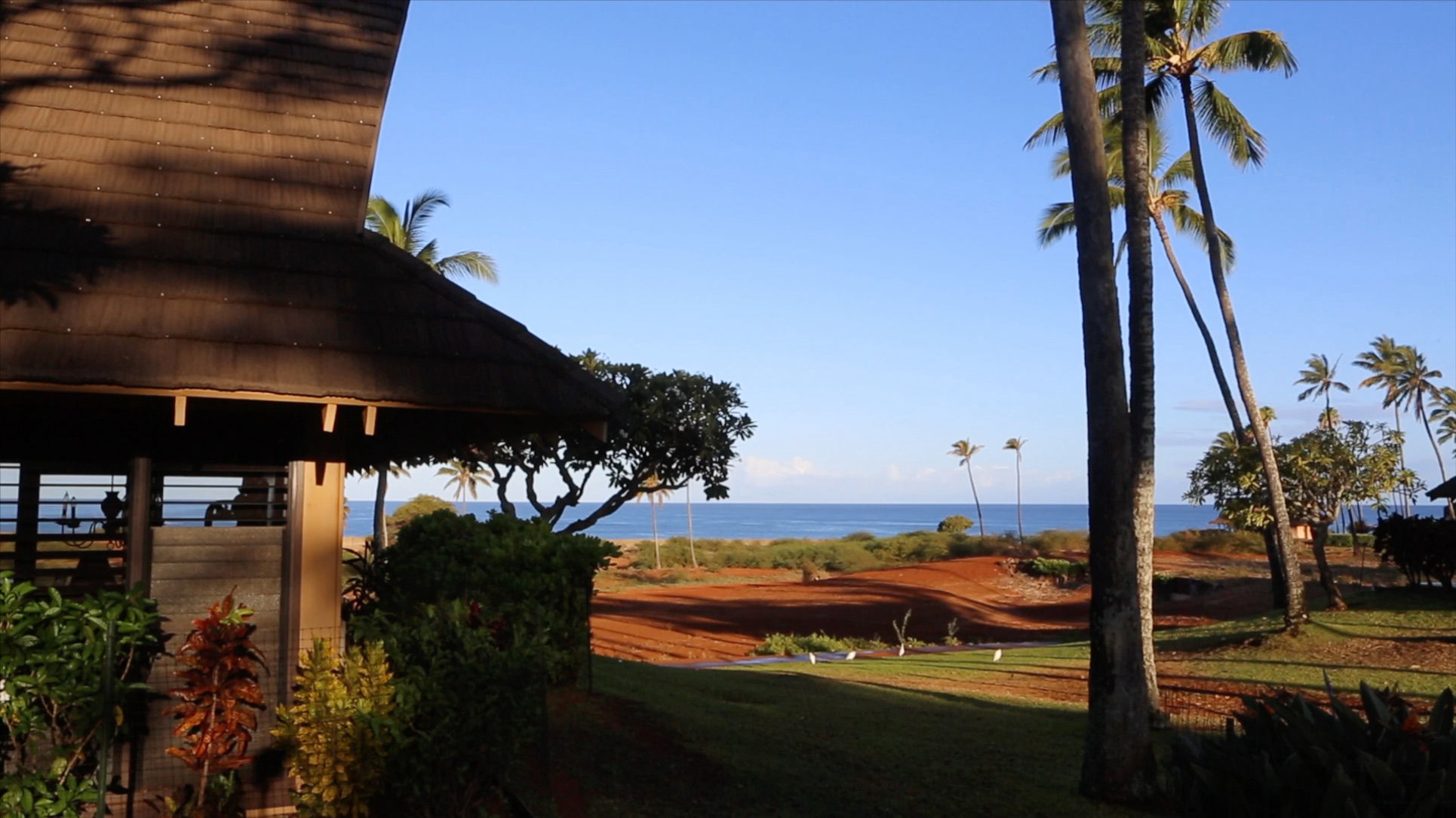 Sunrise at Molokai Cottage