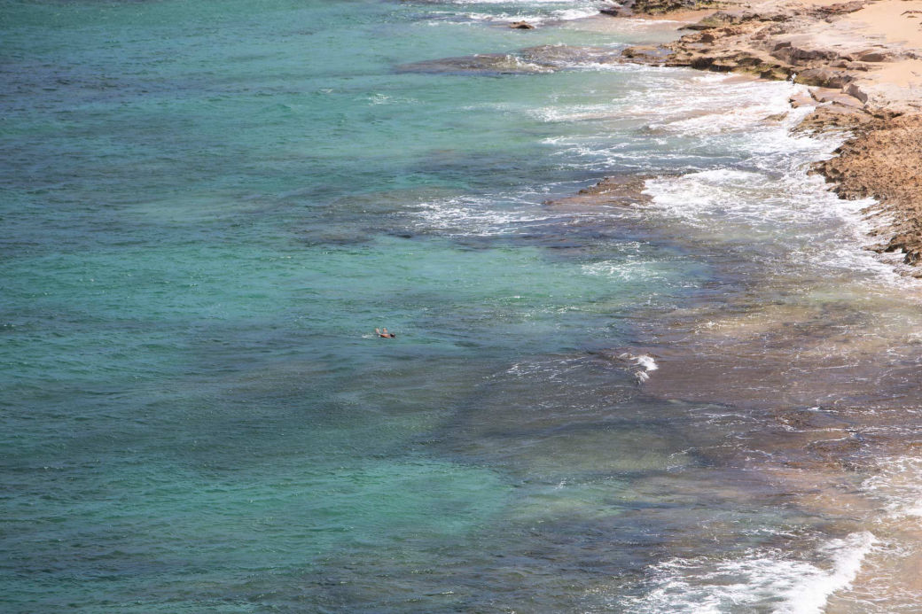 Snorkeling